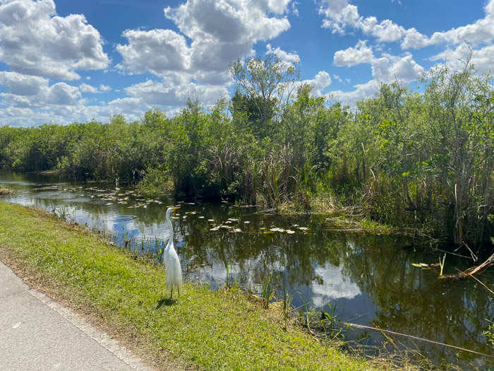 Things To Do In Everglades National Park