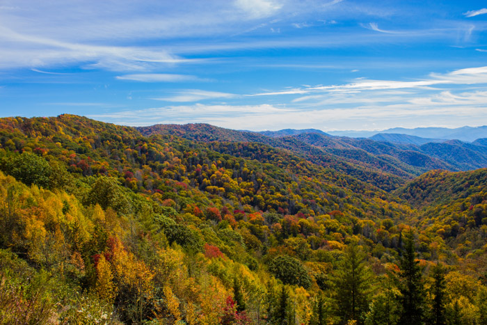 Great Smokey Mountains National Park