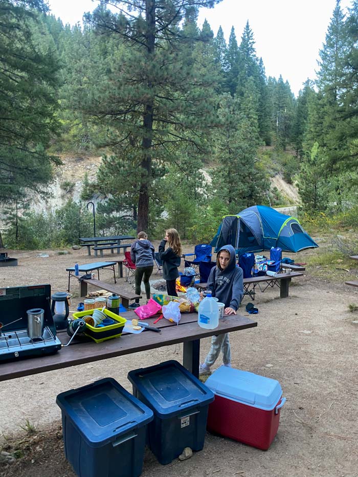 Camping bins and coolers