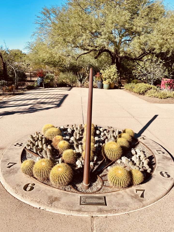 Desert Botanical Garden Phoenix